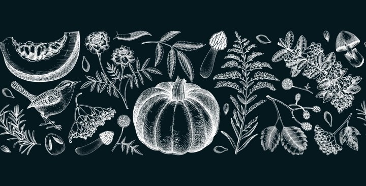 Warm autumn ribbon in sketch style. Fall leaves, pumpkins, berries, mushrooms  hand-drawn vector illustrations on chalkboard. Thanksgiving seamless pattern. NOT AI generated